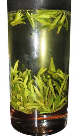 Thé vert zhuyeqing en bambou biologique de haute qualité au début du printemps