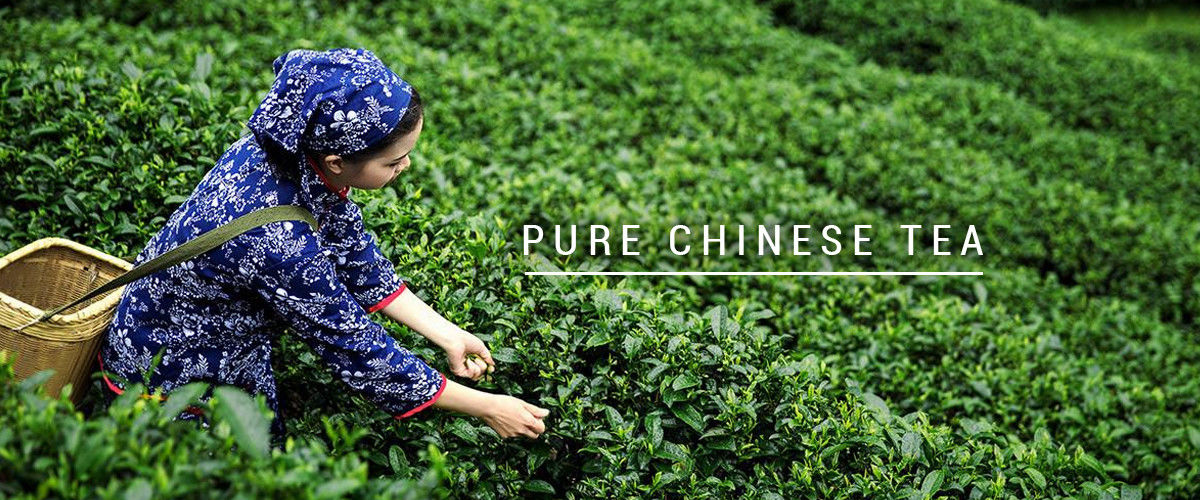 Chine le meilleur thé organique d&#039;oolong en ventes